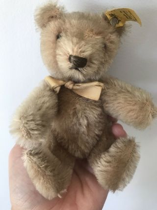 Vintage 6 " Steiff Mohair Jointed Teddy Bear Toy Animal 1950s W/button & Flag Nr