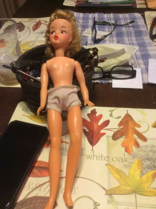 Rare Ideal Toy Corp Bs - 12 Tammy Doll W Panties 12 " And Assorted Clothes—