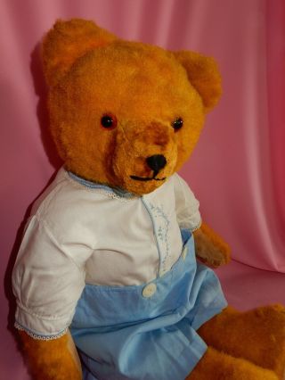 Wonderful 23 " Orange Gold Vintage Teddy Bear C.  1940 