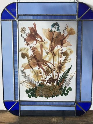 Vintage Leaded Frame Blue Stain Glass With Pressed Flowers Sun Catcher