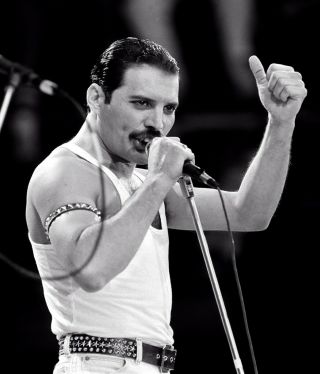Freddie Mercury Queen 8 X 10 Stunning Photo