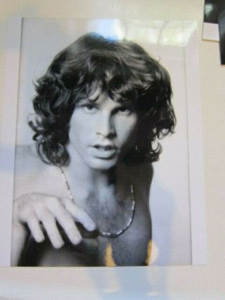 Doors 8x10 Photo O Jim Morrison Shirtless