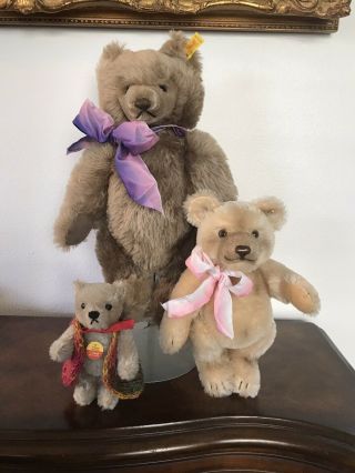 Vintage Steiff Teddy Bear.  14” Mohair 0202/41 One First Quality W/ Two Seconds