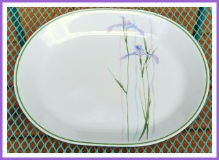 Corelle Shadow Iris Oval Serving Platter - Purple,  Green Band Border 12 "