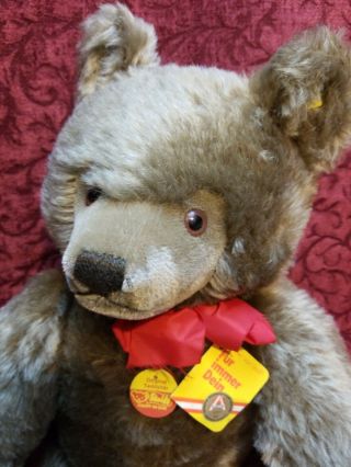 Vintage Steiff Teddy Bear Brassy Brown Coloring Jointed Tags Flag Button 0202/51