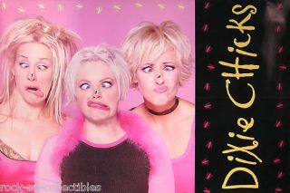 Dixie Chicks 1999 Fly Double Sided Perforated Promo Poster