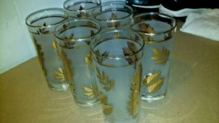 Vintage Libbey Golden Foliage Glasses set of 6 3