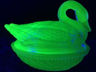 Blue Vaseline Glass Swan On Nest Basket Candy Dish Uranium Cobalt Butter Hen Egg