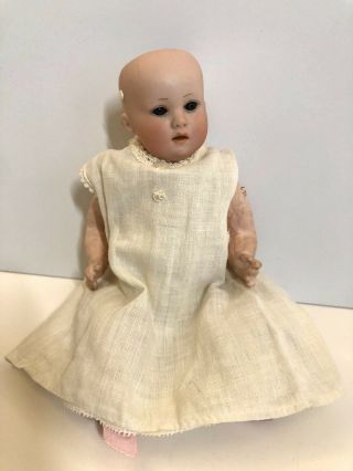 Antique German George Borgfeldt Armand Marseille 251 DRGM Bisque Head Baby Doll 3