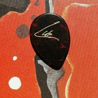 TOTO Steve Lukather Call Me Daddy tort teardrop guitar pick 2