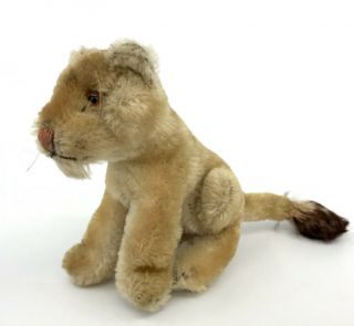 Steiff Lea Lioness Sitting Lion Mohair Plush 11cm 4.  5in No Id 1950s 60s Vintage