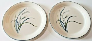 Set Of 2 Corelle Coastal Breeze Dinner Plates Blue Green Grass Wheat 10 - 1/4 "