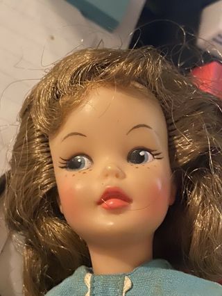 Vintage Tammy Family POS’N PEPPER Doll TOSCA HAIR Head G - 9 - E Body G - 9 - W2 3