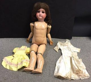Antique German Cuno,  Otto & Dressel Bisque 1912 - 4 Doll,  Brunette,  4 Pt.  Star 23 "