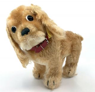 Steiff Cocker Spaniel Dog Standing Mohair Plush 19cm 7.  5in Id Button Tag 1960s