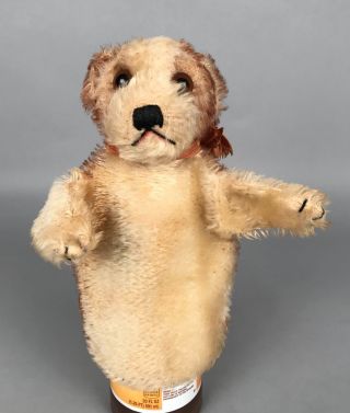 Vintage Steiff Molly Dog Hand Puppet 0317,  00 - 7 " Tall 1959 - 1962 - No Tags