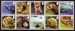 Great Britain 2010 Mammals Set Of 10 In Block Fine