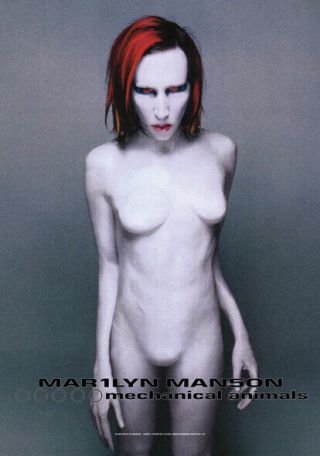 Marilyn Manson Mechanical Animals Textile Poster Fabric Flag