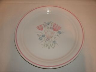 Set Of 6 Corelle Corning French Garden Sandstone Salad Plates 8.  5 Inches