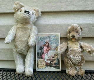 2 Antique Jointed Rare White Teddy Bear With Squeaker,  Tan Bear With Cook Book