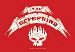 The Offspring Textile Poster Fabric Flag Skull