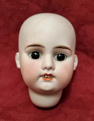 Antique French Or German Bisque Doll Head W/ Brown Eyes Fleischmann & Bloedel?