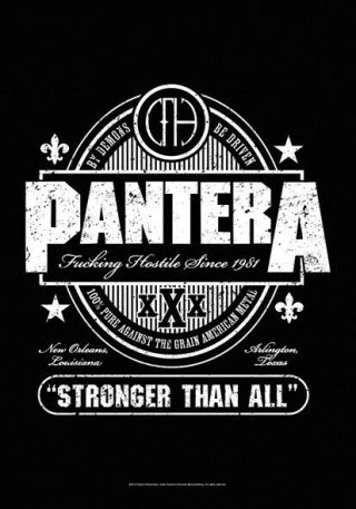 Pantera Textile Poster Fabric Flag Stronger Than All