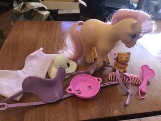 Vintage Hasbro G1 My Little Pony Peachy Pink Hearts Mlp With Accessories