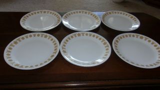 6 Vintage Corelle " Butterfly " Gold Luncheon Plates 8 "