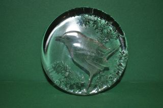 Mats Jonasson Kosta Sweden Art Glass Bird Paperweight 99153