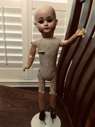 Antique German Doll With A Bisque Head,  Composition Arms And Cardboard Body