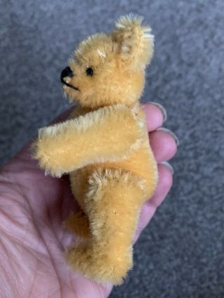 STEIFF Miniature Bear 3.  5 