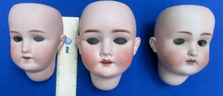 3 Antique Bisque German Doll Heads Kley & Hahn K&h Walkure Marked Parts Repair