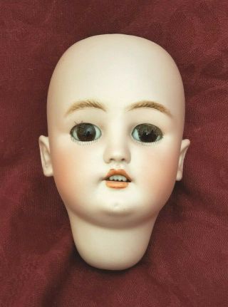 Antique German Bisque Doll Head Simon & Halbig Cm Bergmann W/ Eyes