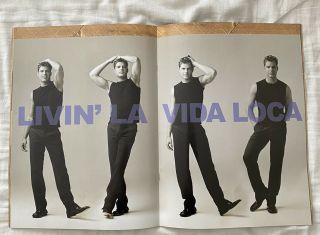Ricky Martin Livin ' La Vida Loca World Tour Program (Vintage) Gay Interest 3