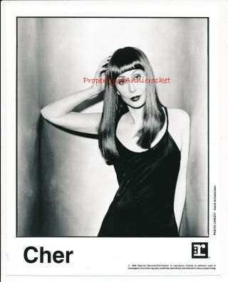 Cher - Reprise Press Release,  8 " X 10 " Black & White Publicity Photo - 1995 - 704