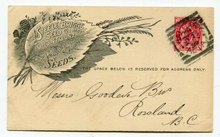 Canada Ab Alberta - Calgary 1898 Squared Circle - Steele Briggs Seeds - Postcard
