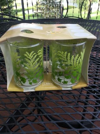 Set Of 4 Vintage Libbey 6 Oz.  Juice Glasses W/ Green Shaded Ferns Box