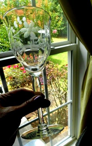Fostoria Crystal Wine Glass Cut Etched Crystal Daisy