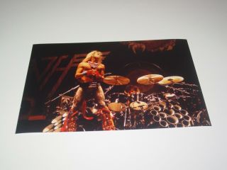 Van Halen 8x12 Photo Alex David Roth Live Concert Diver Down Album Tour 1982 10