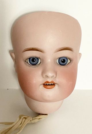 Antique Simon & Halbig S&h Bisque Doll Head Only Blue Sleepy Eyes 570