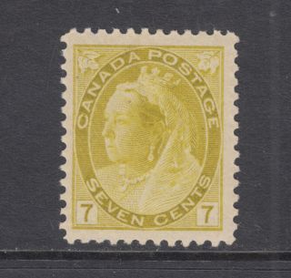 Canada Sc 81 Mnh.  1902 7c Olive Yellow Queen Victoria Numeral Issue,  Vf