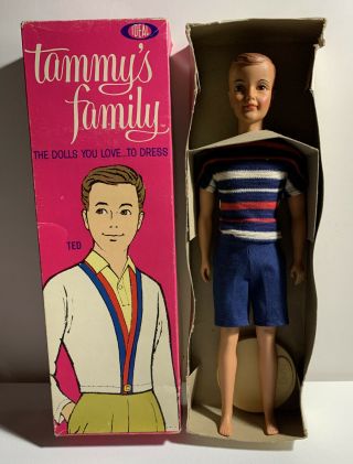 Vintage 1964 Ideal Tammy’s Family Ted Doll 9450 - 8 W/original Box Great Shape
