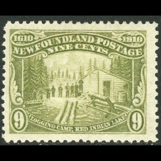 Newfoundland Canada 1911 Recess.  9c Sage Green.  Sg 113.  Mlh.  (wc167)