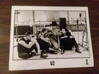 U2 Promo 8x10 Photo