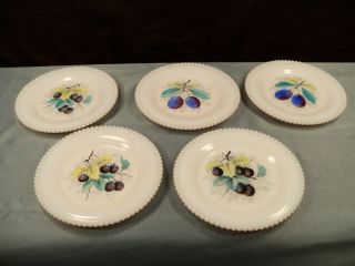 5 Westmoreland Milk Glass Beaded Edge Bread & Butter Plates Fruit Decorations