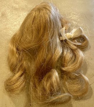 23 Tagged Vintage 8 " Strawberry Blond Extra Long French Human Hair Doll Wig