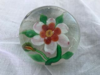 Vintage Flower Blossom Flower Art Glass Small Paperweight 2.  5 "