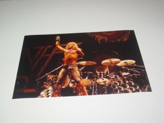 Van Halen 8x12 Photo Alex David Roth Live Concert Diver Down Album Tour 1982 9
