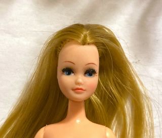 From The Uk Palitoy Pippa Doll Can Share Clothes With Dawn & Friends